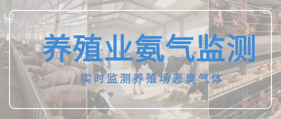 氨氣在線監(jiān)測儀，破解養(yǎng)殖場氨氣難題