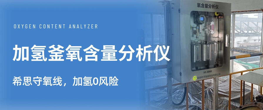 加氫釜氧含量分析儀行業(yè)應用落地，選對設備才靠譜！